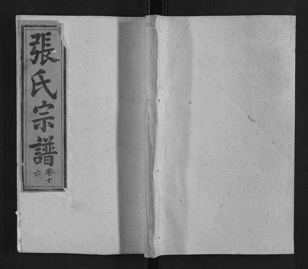 图片[1]-安徽安庆太湖县张氏宗谱（孝友堂）电子版PDF下载-中华家谱网