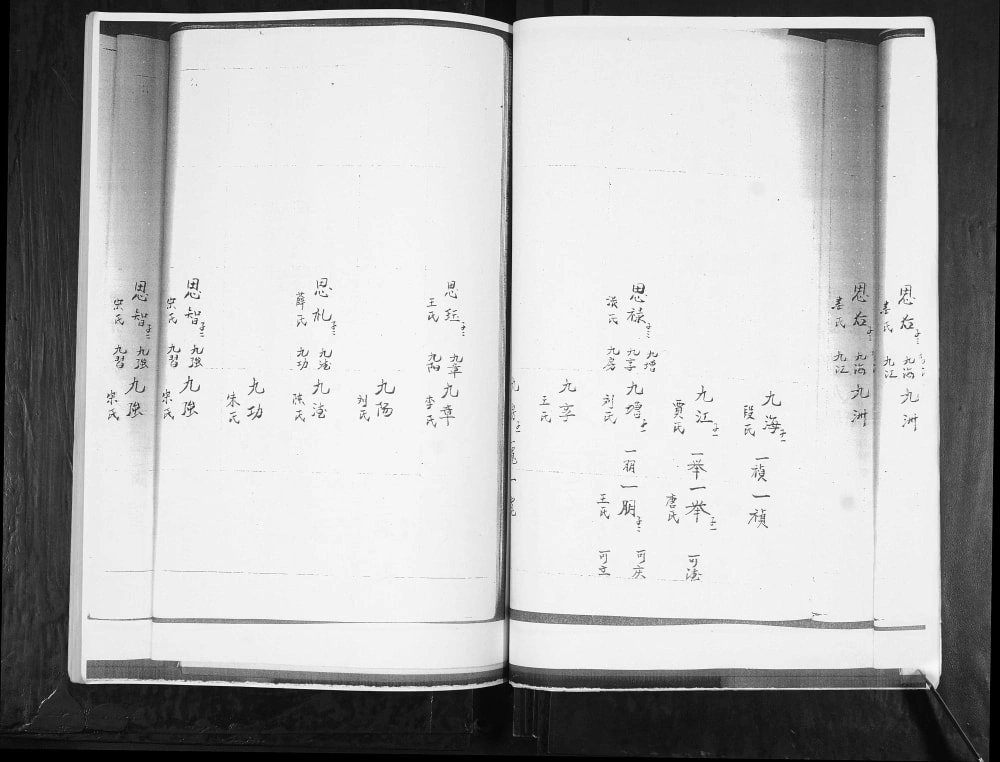图片[6]-山东青岛张村蓝村后白塔王氏族谱电子版PDF下载-中华家谱网