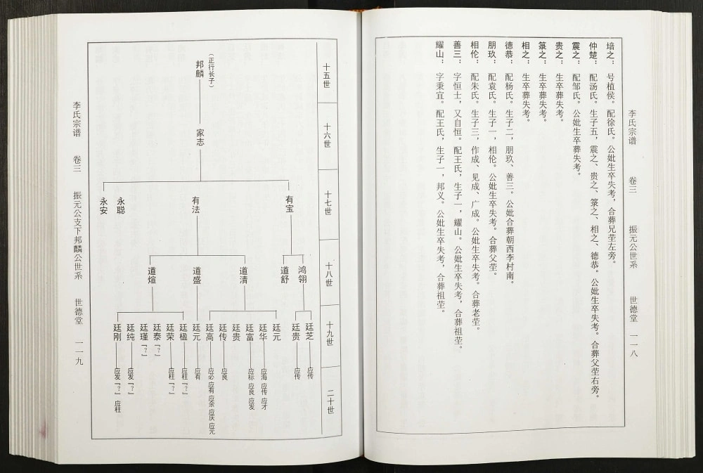 图片[7]-安徽合肥李氏尚龙公宗谱电子版PDF下载-中华家谱网
