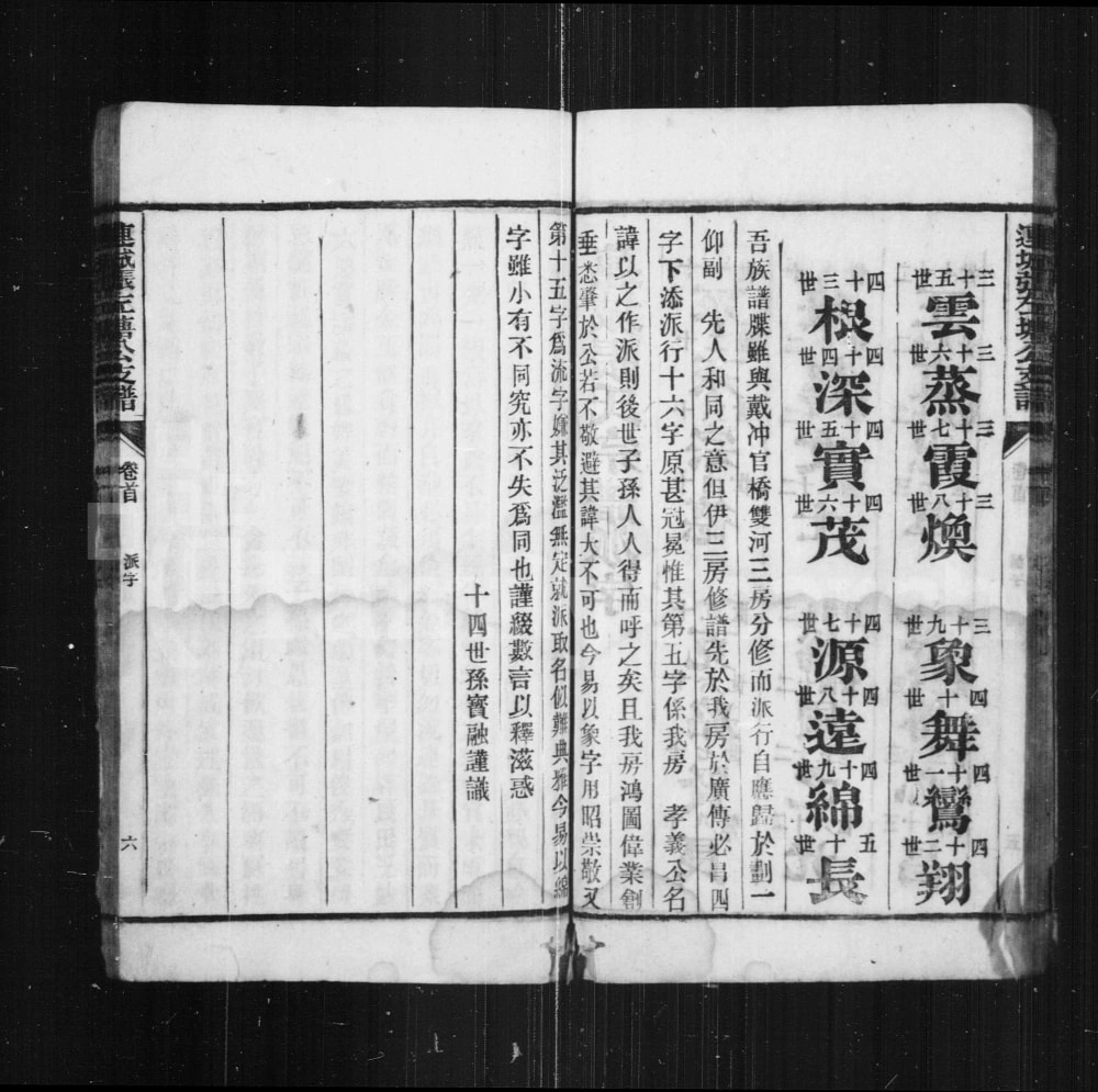图片[4]-安徽铜陵枞阳连城张左塘公支谱电子版PDF下载-中华家谱网