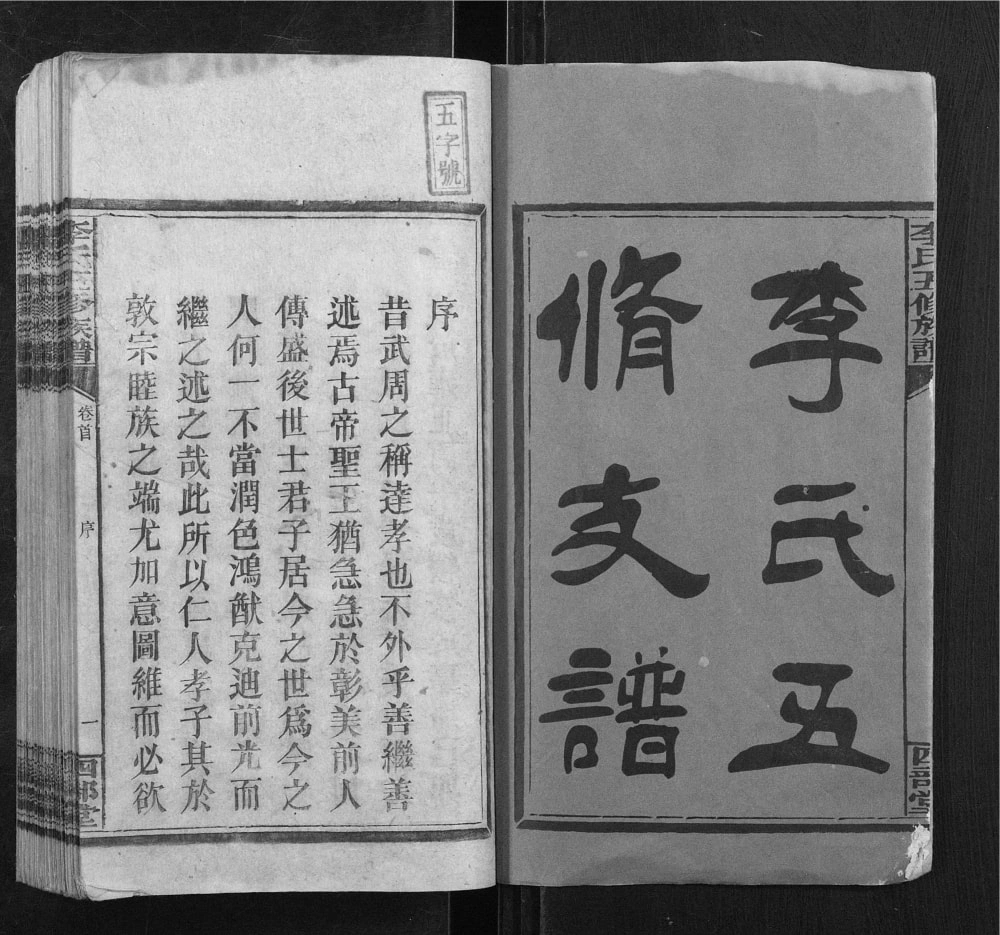 图片[2]-湖南邵东李氏贵公支谱（四部堂）电子版PDF下载-中华家谱网