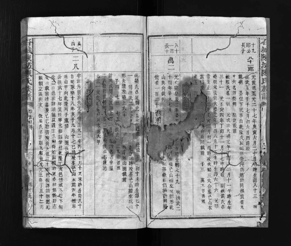 图片[5]-江西赣州石城陈坊陈氏族谱电子版PDF下载-中华家谱网