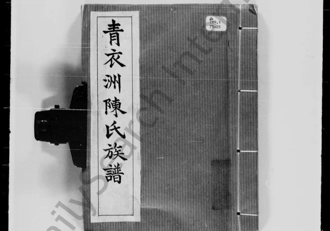 香港青衣洲陈氏族谱电子版PDF下载-中华家谱网