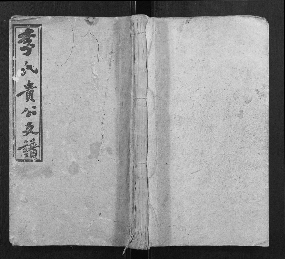图片[1]-湖南邵东李氏贵公支谱（四部堂）电子版PDF下载-中华家谱网