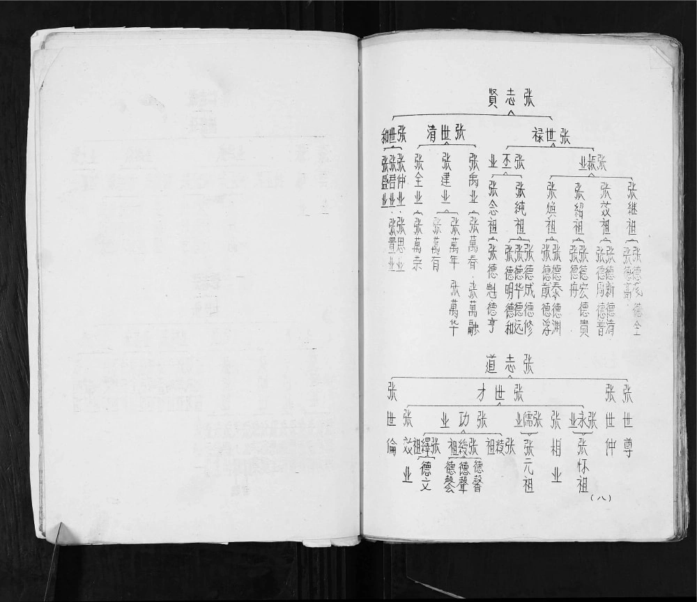 图片[8]-四川广安张氏家谱电子版PDF下载-中华家谱网