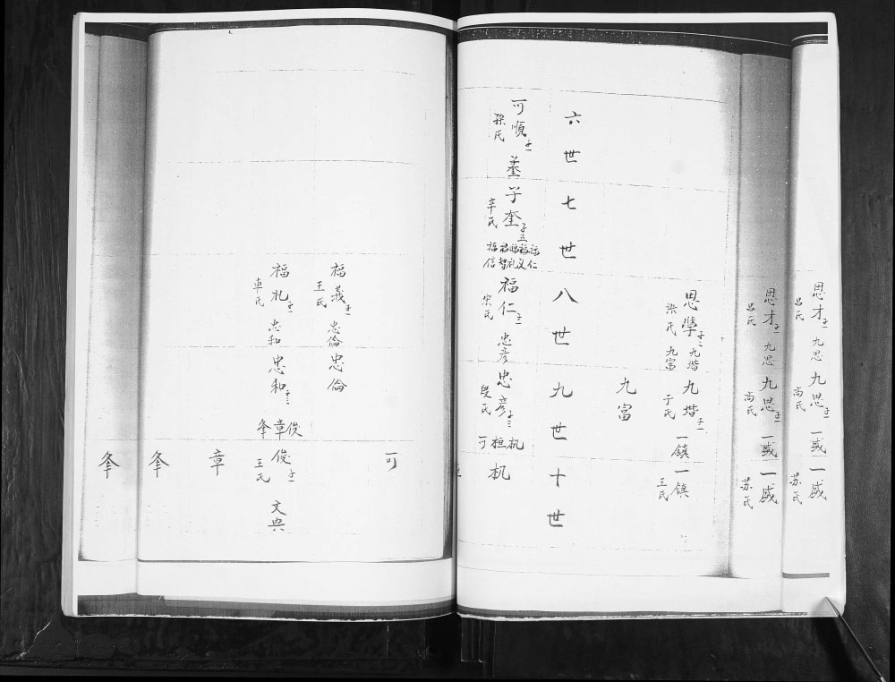 图片[8]-山东青岛张村蓝村后白塔王氏族谱电子版PDF下载-中华家谱网