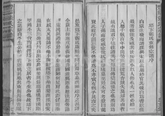 江西上饶广丰区丰溪塔下张氏宗谱（忠文堂）电子版PDF下载-中华家谱网