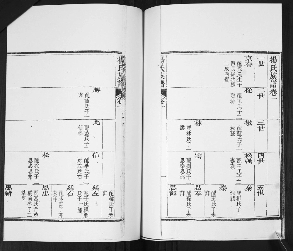 图片[4]-山东青岛即墨栲栳村杨氏族谱电子版PDF下载-中华家谱网