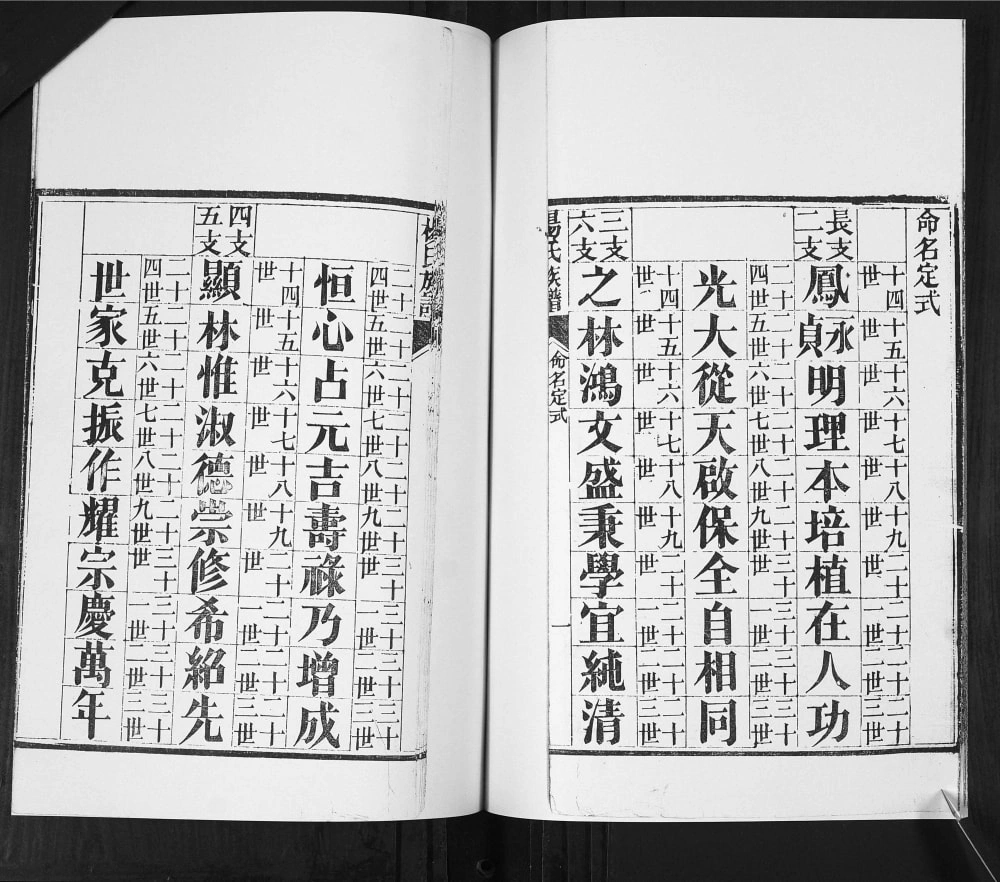 图片[3]-山东青岛即墨栲栳村杨氏族谱电子版PDF下载-中华家谱网