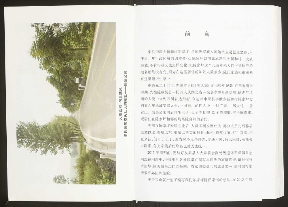 图片[2]-四川达州渠县李渡乡陈家坪陈氏家谱电子版PDF下载-中华家谱网