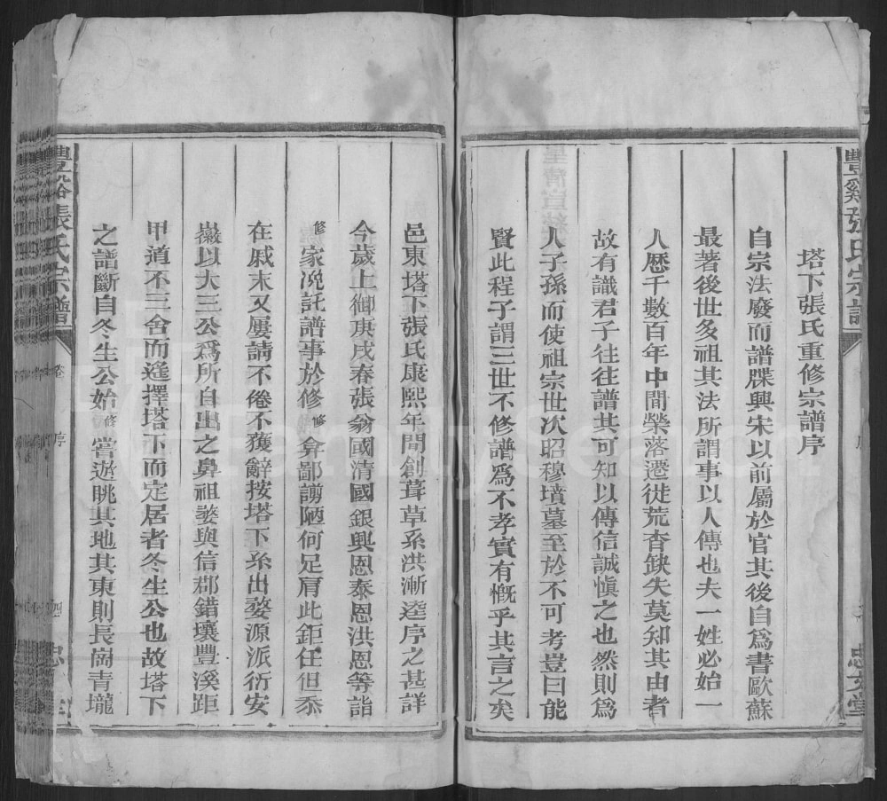 图片[1]-江西上饶广丰区丰溪塔下张氏宗谱（忠文堂）电子版PDF下载-中华家谱网