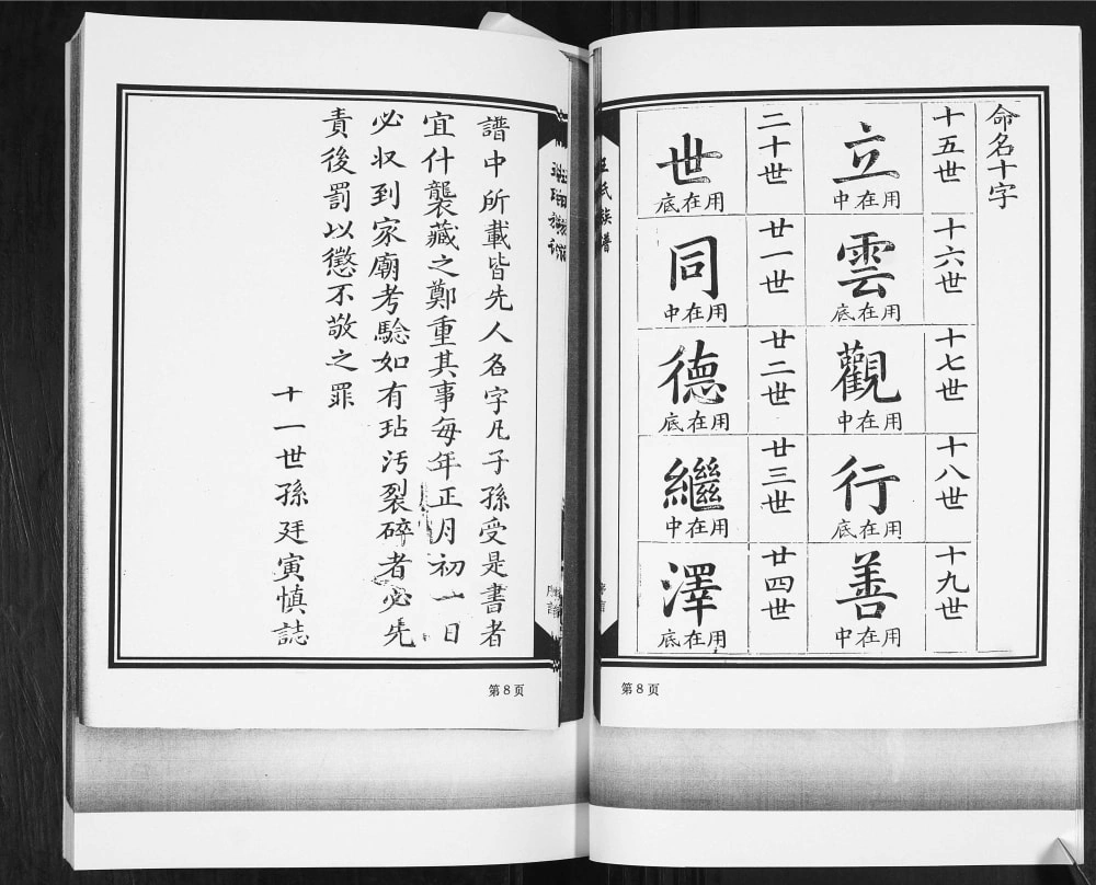 图片[2]-山东平度堐头王氏族谱电子版PDF下载-中华家谱网