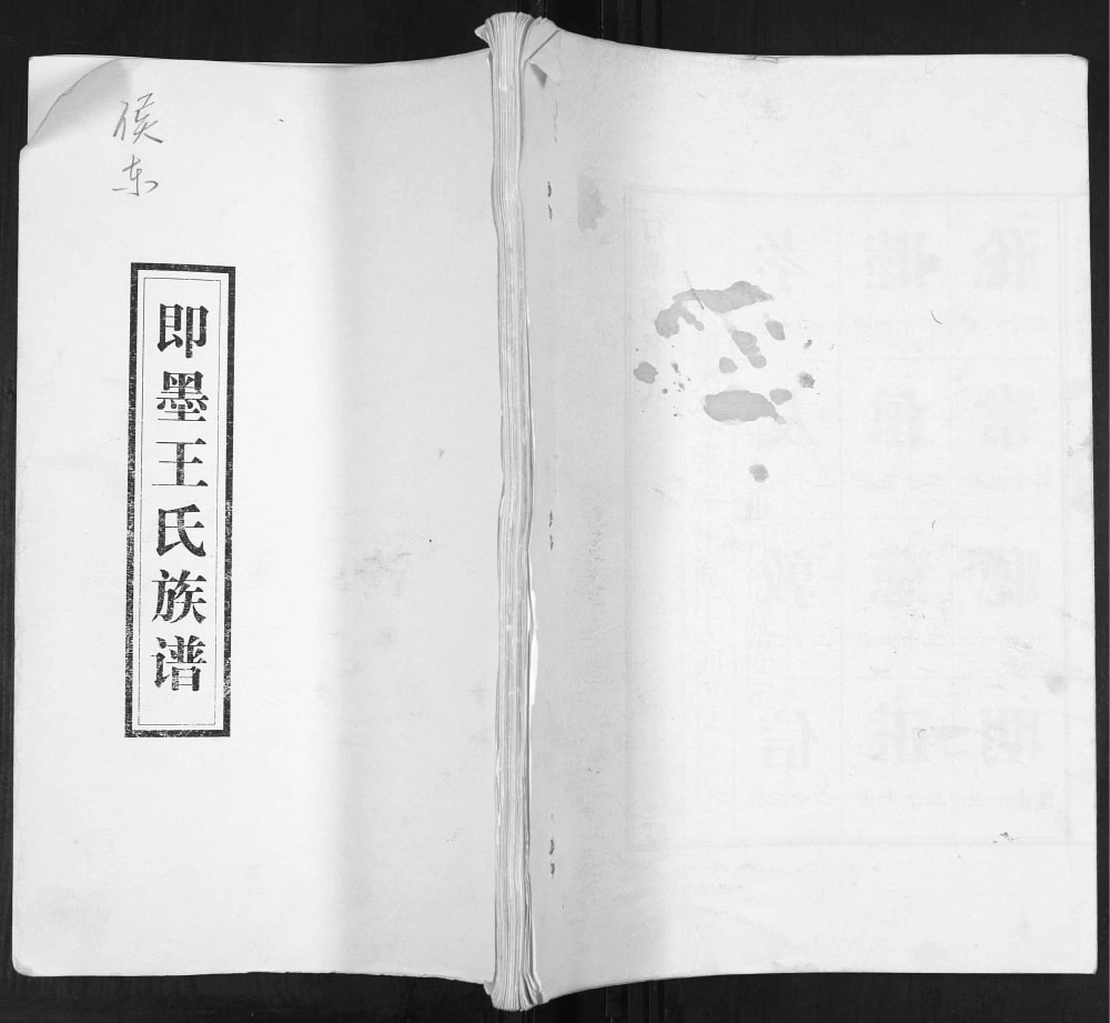 图片[1]-山东青岛即墨侯东王氏族谱电子版PDF下载-中华家谱网