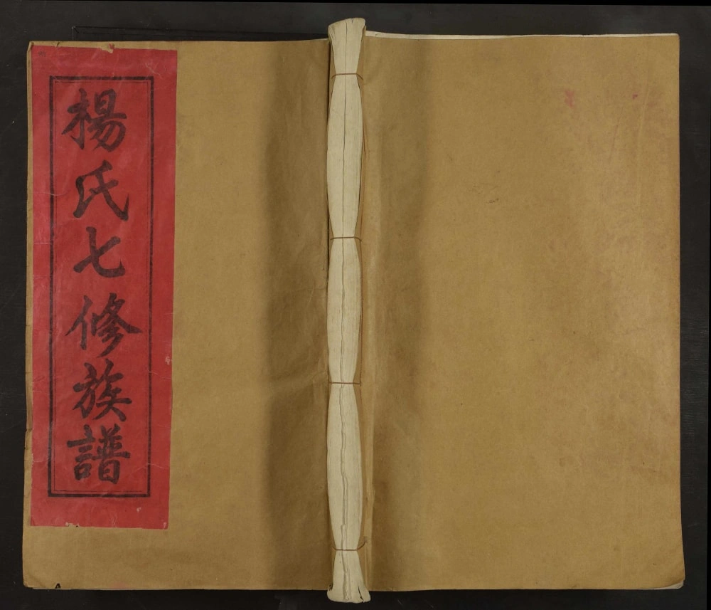 图片[1]-江西抚州东乡区桥头杨氏族谱电子版PDF下载-中华家谱网