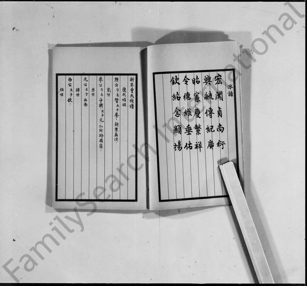 图片[2]-香港新界曾氏族谱电子版PDF下载-中华家谱网