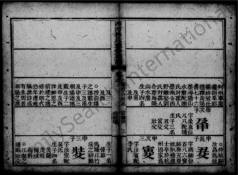 图片[6]-广东汕头潮阳区西河林氏重修族谱电子版PDF下载-中华家谱网