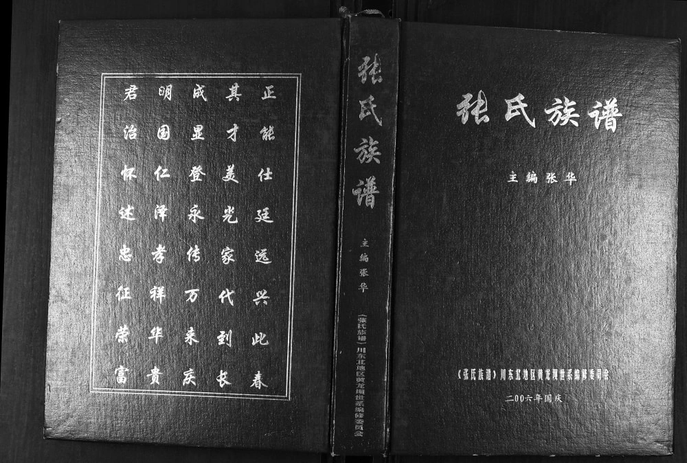 图片[1]-四川达州张氏族谱电子版PDF下载-中华家谱网