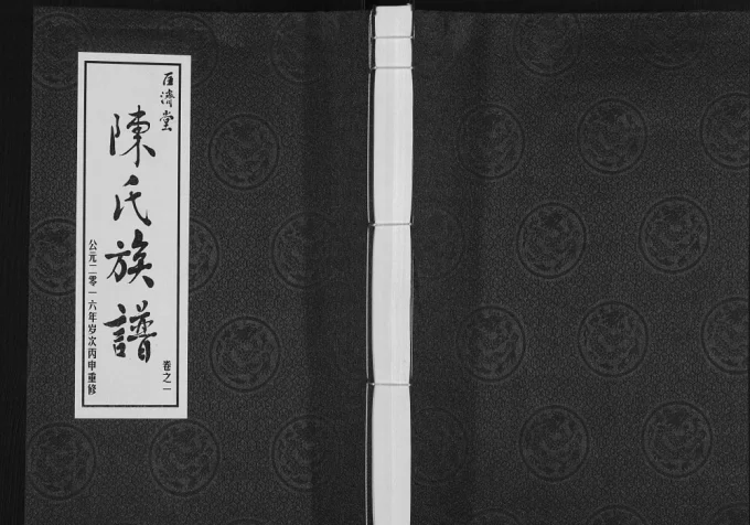 江苏泰州高港区陈氏族谱(匡济堂)电子版PDF下载-中华家谱网