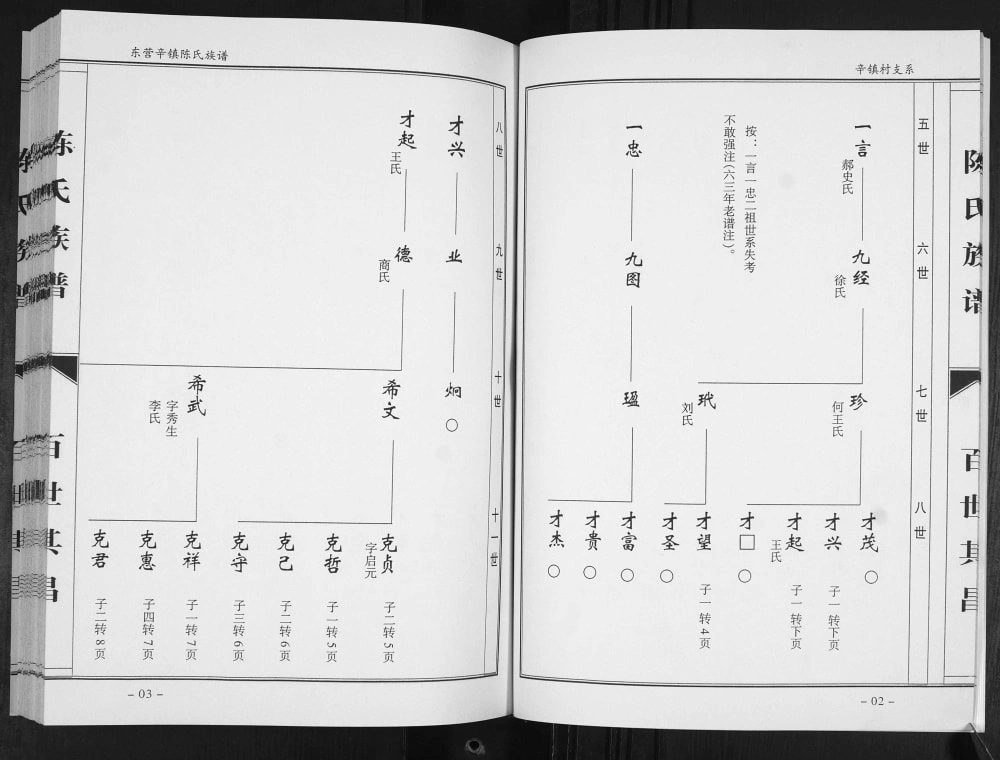 图片[5]-山东东营辛镇座地陈氏族谱电子版PDF下载-中华家谱网
