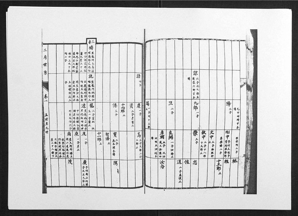 图片[6]-江西吉安泰和柳溪陈氏族谱电子版PDF下载-中华家谱网
