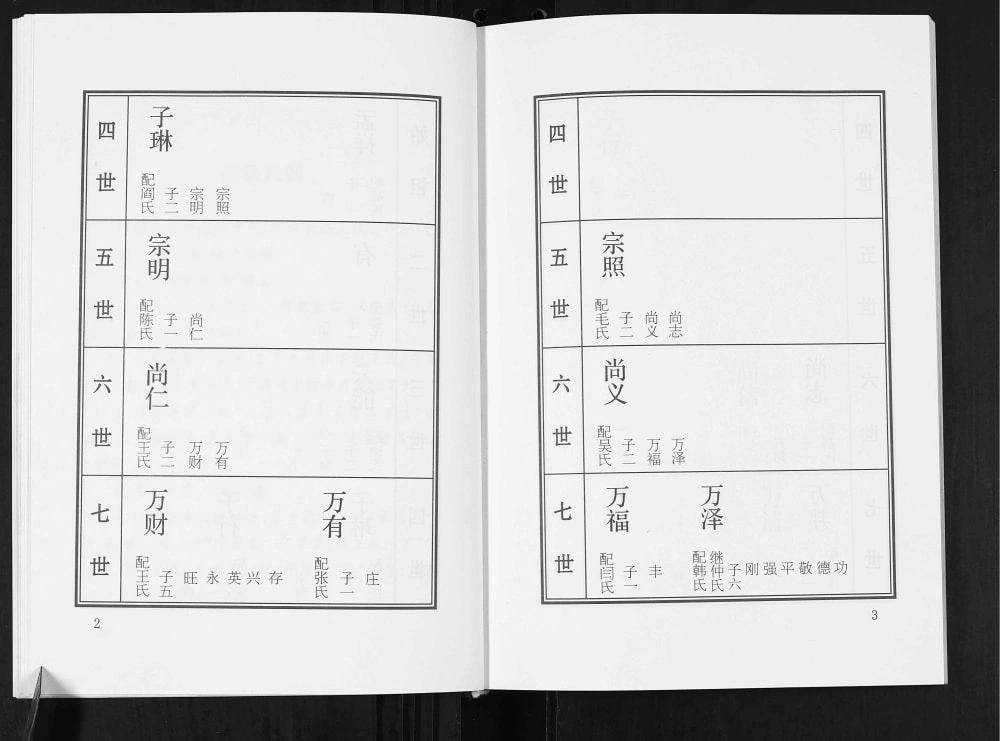 图片[7]-山东平度李氏族谱电子版PDF下载-中华家谱网