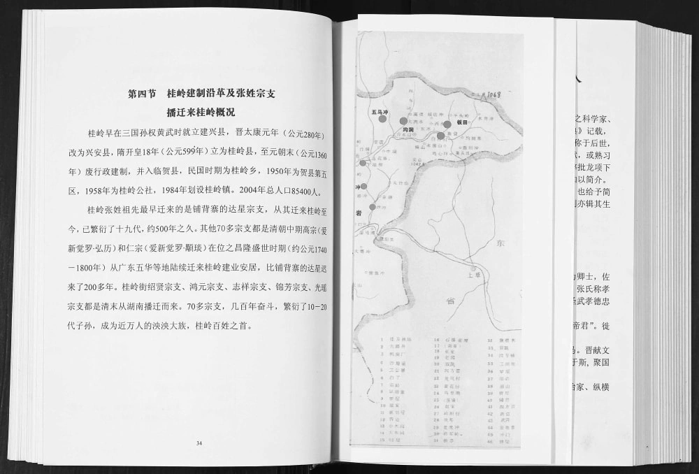 图片[5]-广东揭阳揭东区桂岭张氏族谱电子版PDF下载-中华家谱网