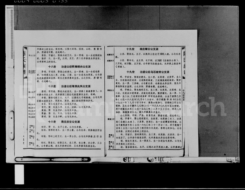 图片[8]-海南定安陈氏族谱豪祖仲礼公后应韶公支谱（永思堂）电子版PDF下载-中华家谱网