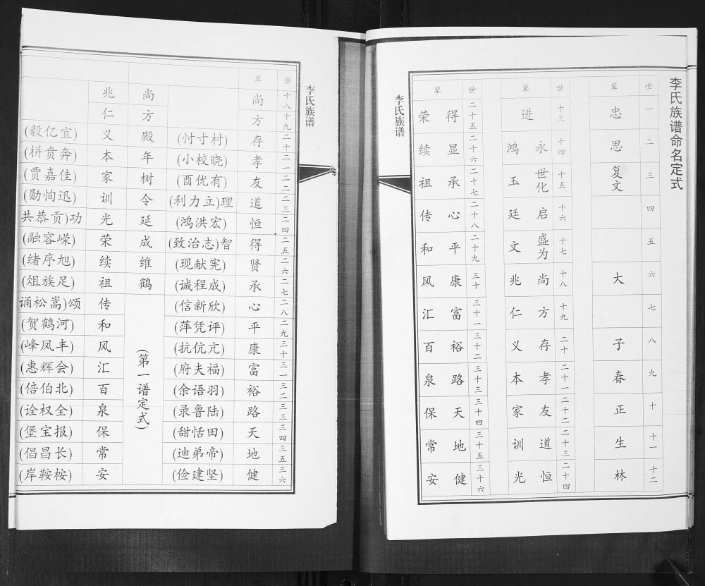 图片[3]-山东青岛即墨区李氏族谱电子版PDF下载-中华家谱网