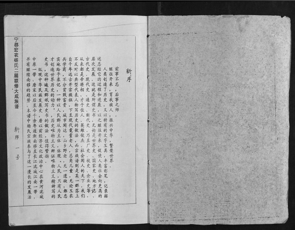 图片[2]-江西赣州宁都宏农杨氏二届联修大成族谱电子版PDF下载-中华家谱网