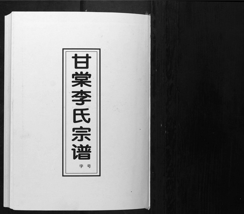图片[1]-安徽淮南寿县甘棠李氏宗谱（陇西堂）电子版PDF下载-中华家谱网