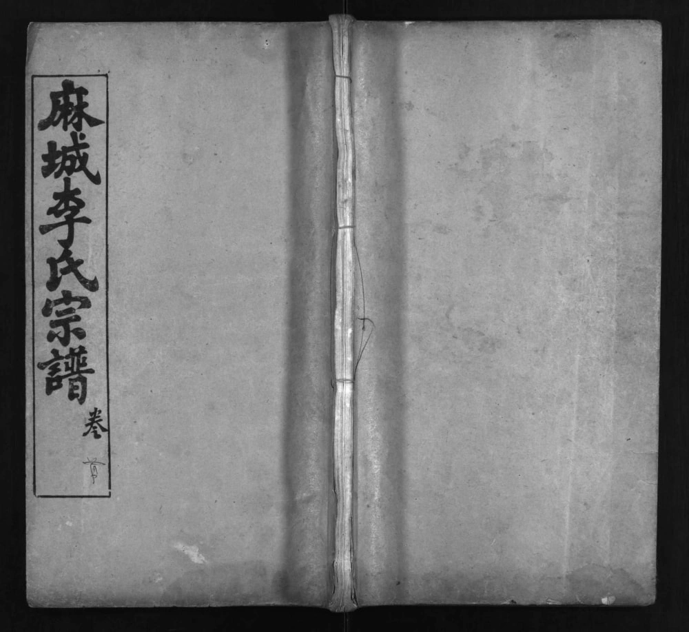 图片[1]-湖北麻城李家山李氏宗谱（青莲堂）电子版PDF下载-中华家谱网