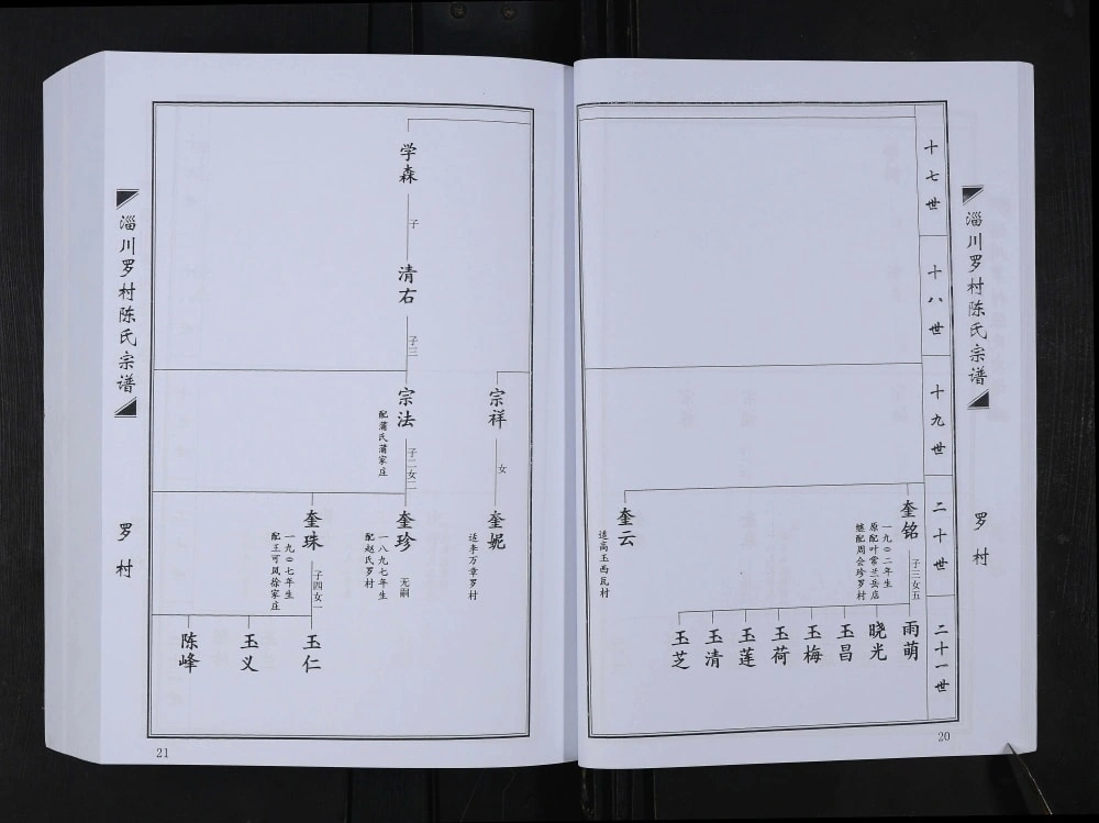 图片[8]-山东淄博淄川罗村陈氏宗谱电子版PDF下载-中华家谱网