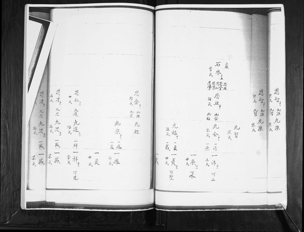 图片[7]-山东青岛张村蓝村后白塔王氏族谱电子版PDF下载-中华家谱网