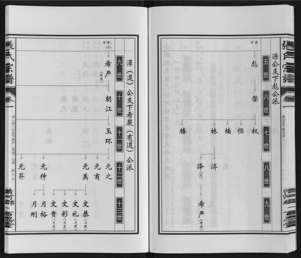 图片[7]-安徽肥东张氏“对河张”合肥支派宗谱（百忍堂）电子版PDF下载-中华家谱网