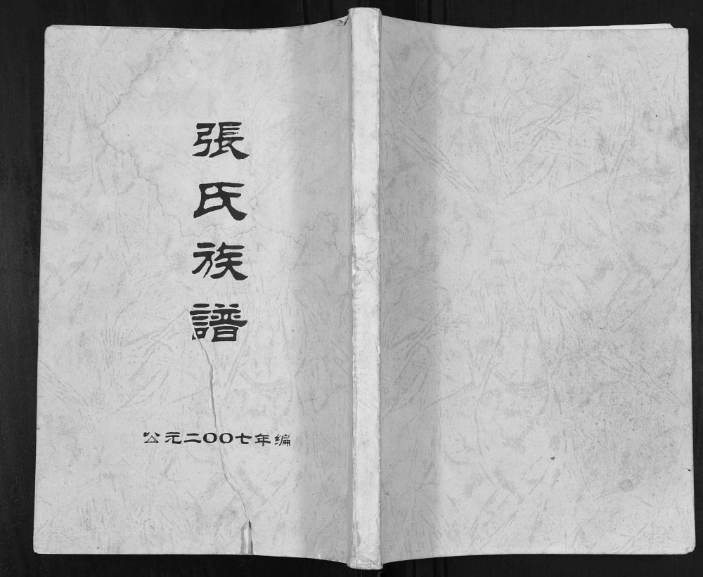 图片[1]-广西桂林平乐县张氏族谱电子版PDF下载-中华家谱网