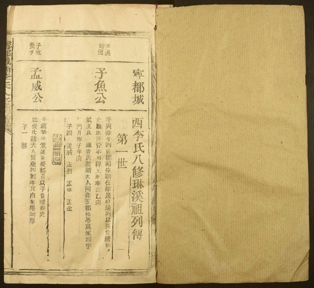 图片[3]-江西赣州宁都城西李氏八修族谱电子版PDF下载-中华家谱网