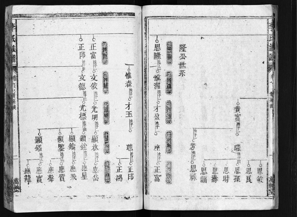 图片[3]-湖南郴州郴阳东门李氏六续修宗谱（万轴堂）电子版PDF下载-中华家谱网
