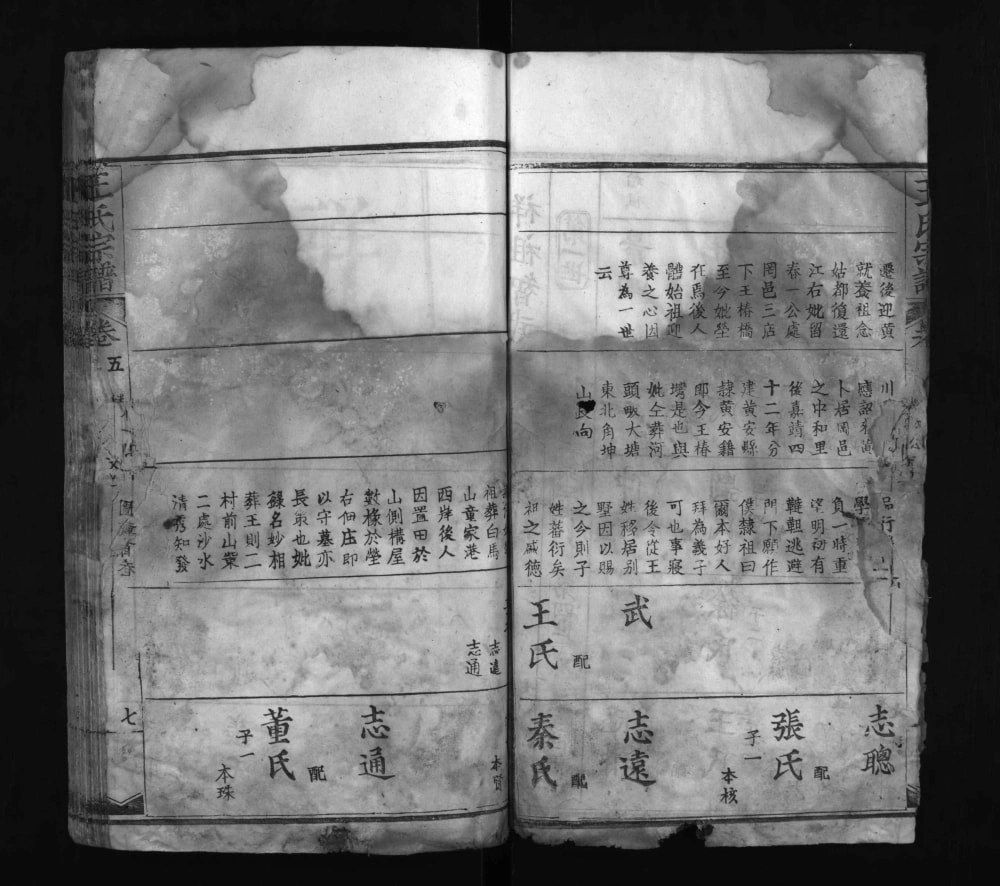 图片[6]-湖北黄冈红安县王氏宗谱电子版PDF下载-中华家谱网