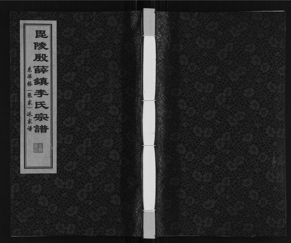图片[1]-江苏常州武进区李氏东洋桥派家谱（垂裕堂）电子版PDF下载-中华家谱网