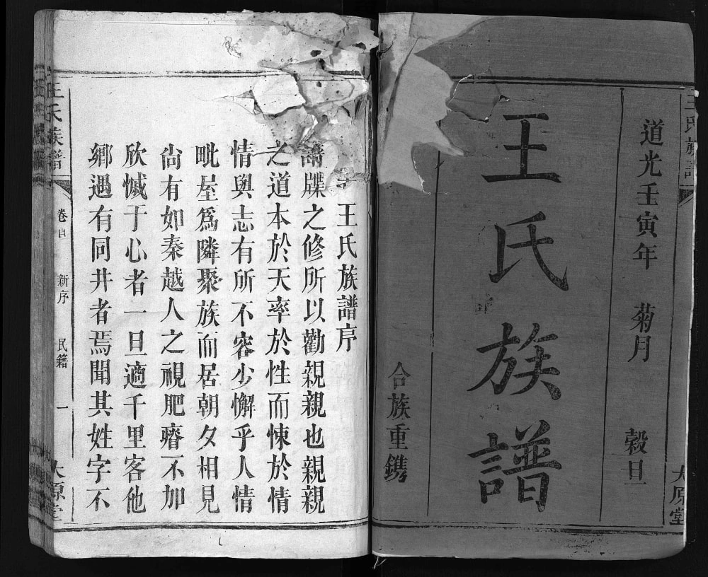 图片[1]-广东江西王氏族谱（太原堂）电子版PDF下载-中华家谱网
