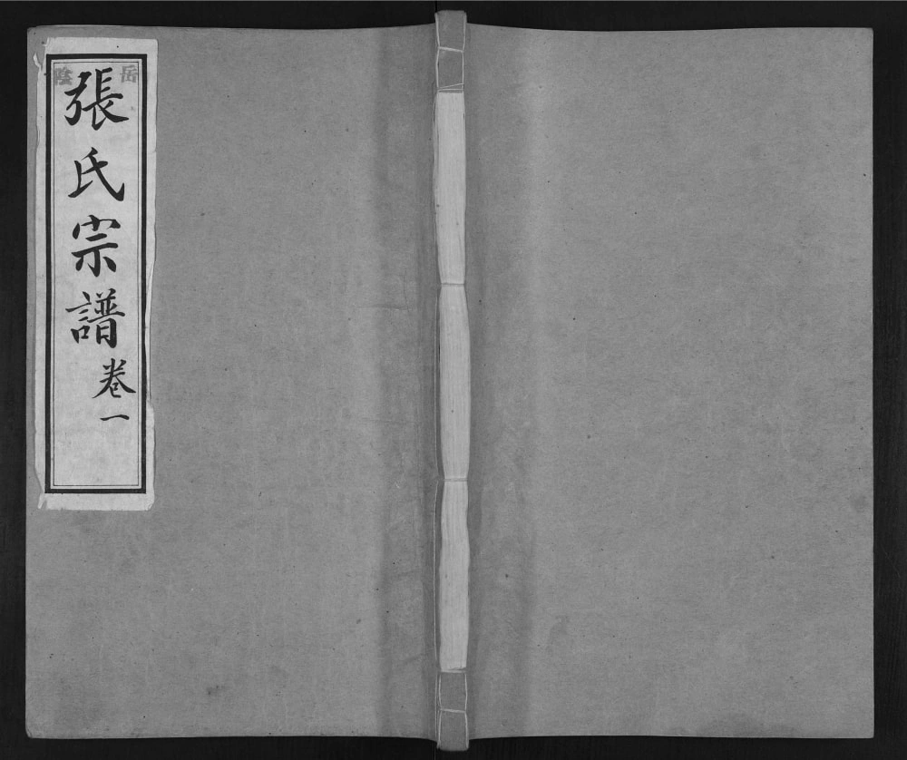 图片[1]-山东淄博岳阴张氏宗谱电子版PDF下载-中华家谱网