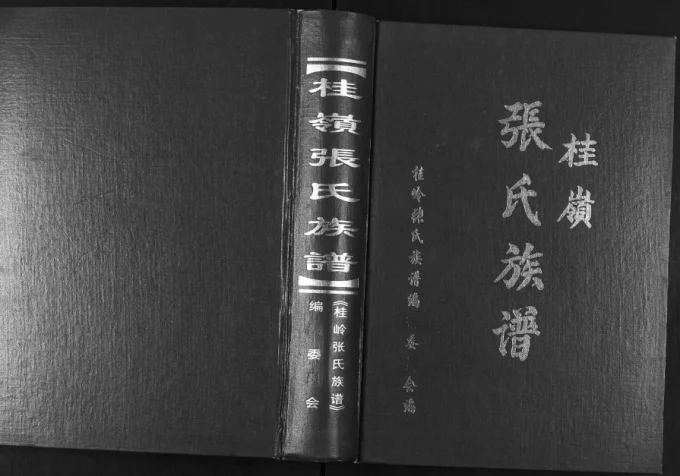 广东揭阳揭东区桂岭张氏族谱电子版PDF下载-中华家谱网