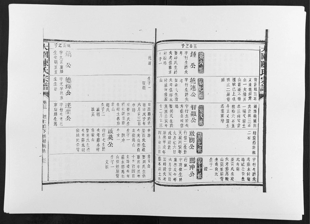 图片[8]-江西上饶铅山大园陈氏宗谱电子版PDF下载-中华家谱网