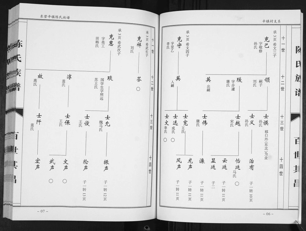图片[7]-山东东营辛镇座地陈氏族谱电子版PDF下载-中华家谱网