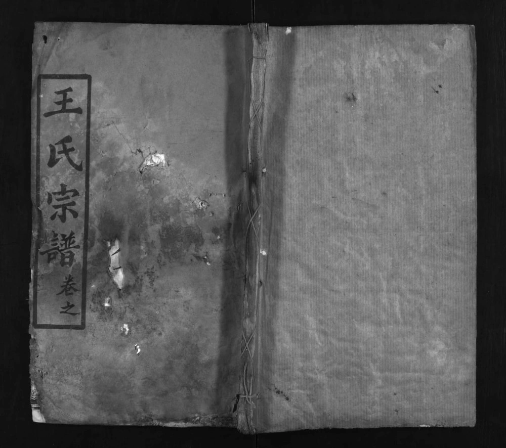 图片[1]-湖北黄冈红安县王氏宗谱电子版PDF下载-中华家谱网