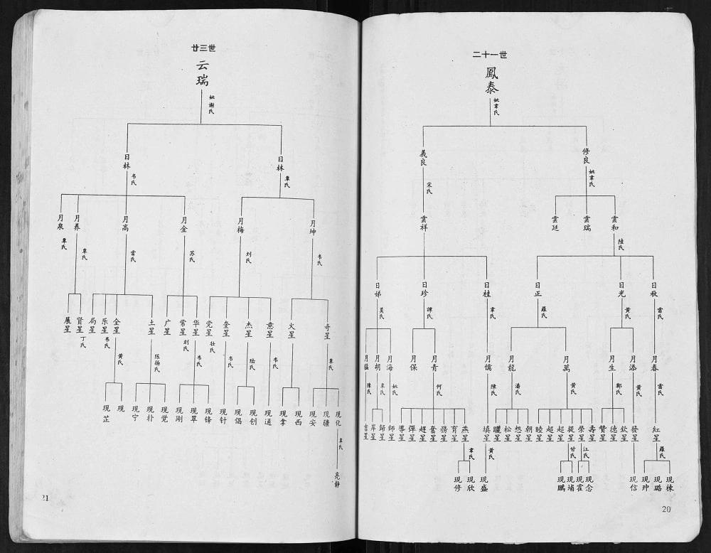 图片[5]-广西来宾武宣县张氏宗谱电子版PDF下载-中华家谱网