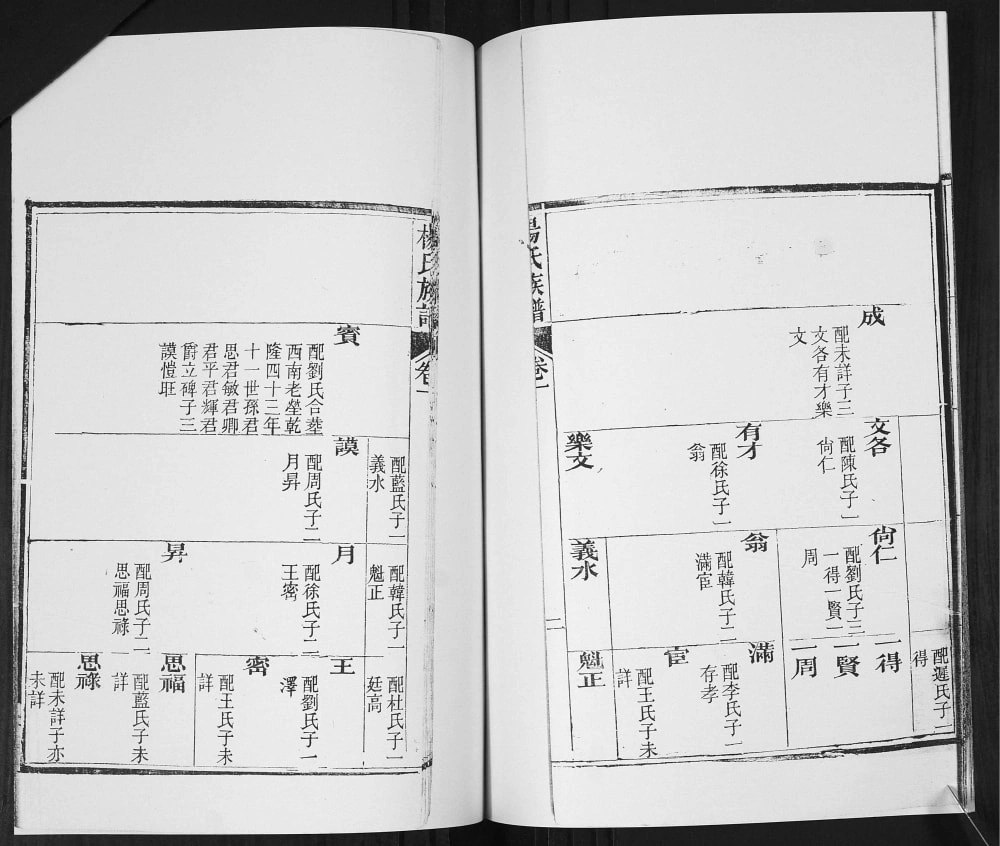 图片[5]-山东青岛即墨栲栳村杨氏族谱电子版PDF下载-中华家谱网