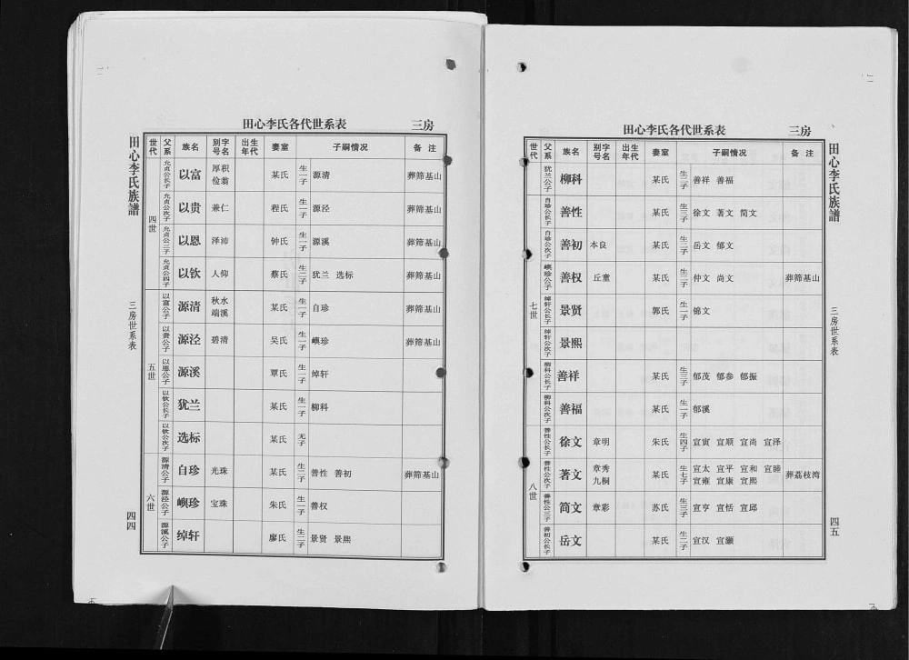 图片[7]-广东高州陇西郡田心李氏族谱电子版PDF下载-中华家谱网