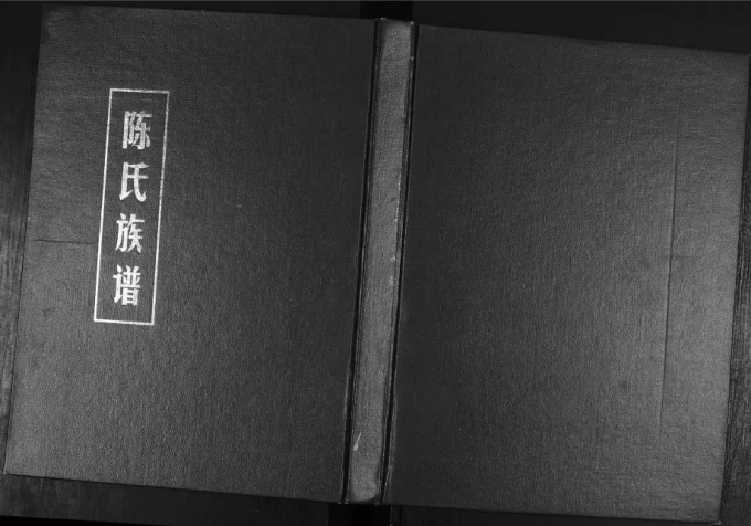山东东营辛镇座地陈氏族谱电子版PDF下载-中华家谱网