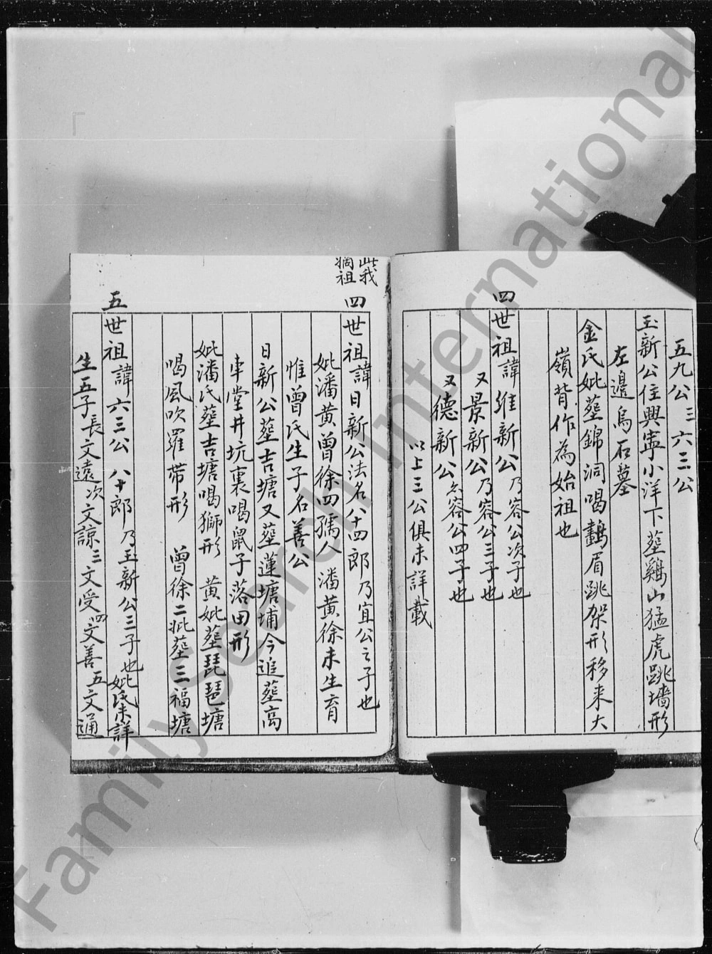 图片[6]-香港青衣洲陈氏族谱电子版PDF下载-中华家谱网